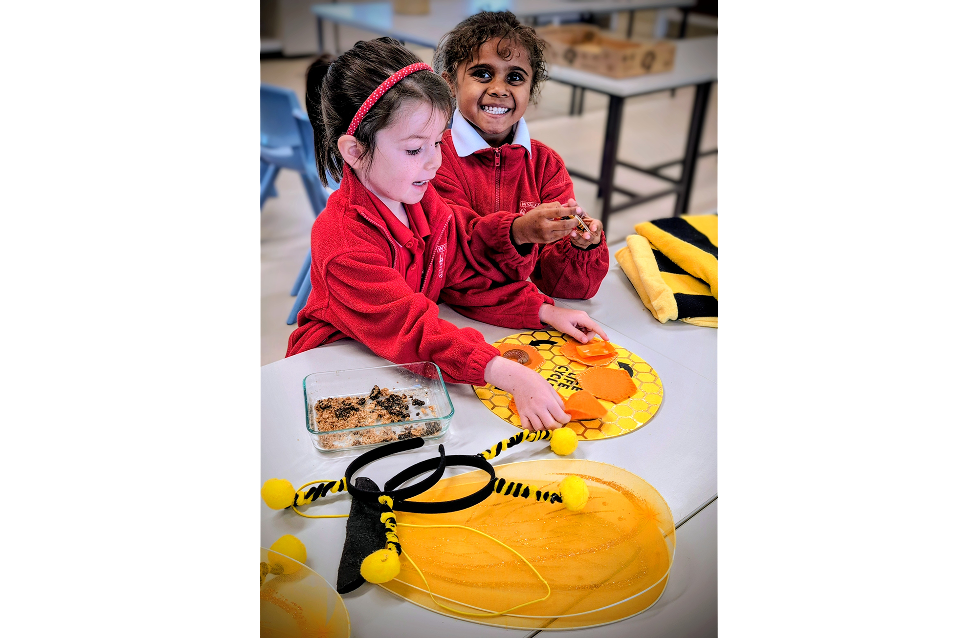 All about bees - Children